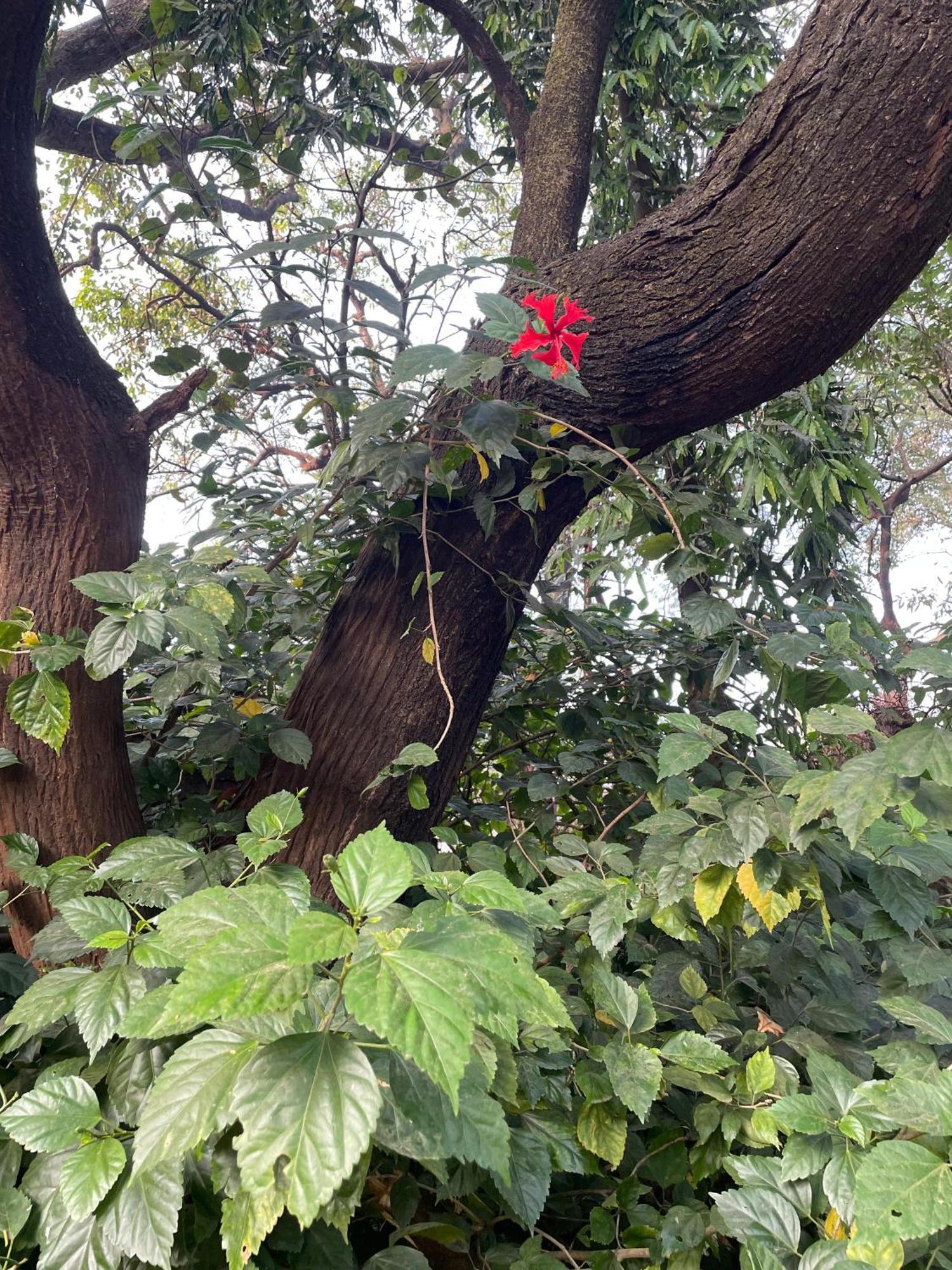 The Imperial Heritage II 2 Minutes From Station And Market II Deluxe Ac Rooms II Lonavala Exterior foto